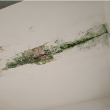 增城屋顶墙面防水